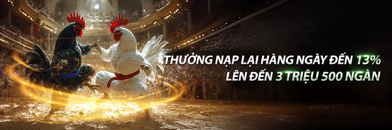 Trải nghiệm cá cược thể thao đỉnh cao tại gg8816 chính thức